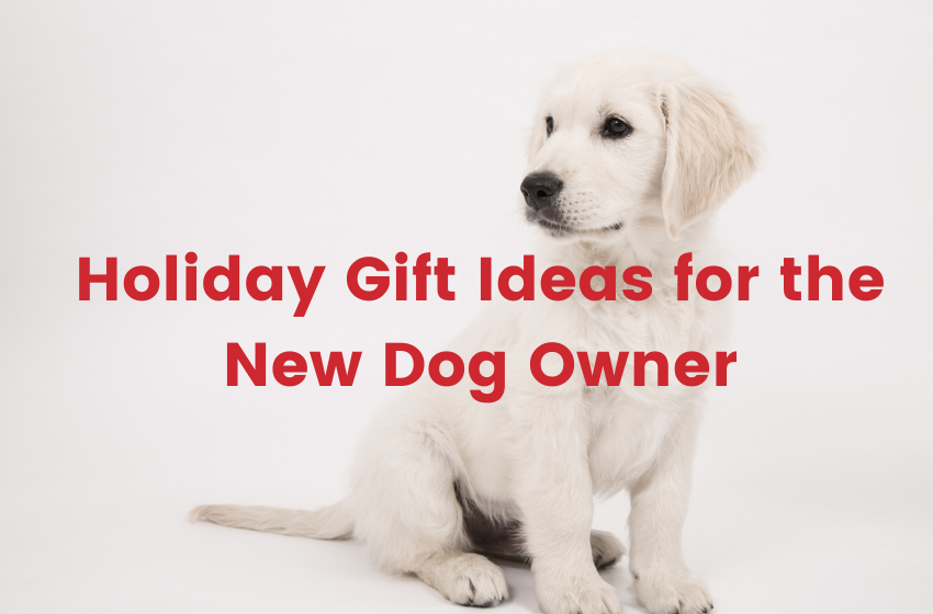 Holiday Gift Ideas for the New Dog Owner